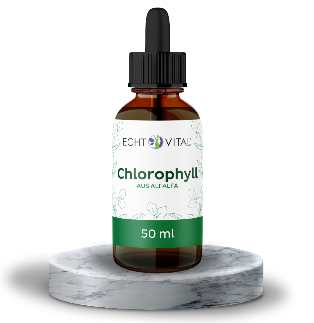 Chlorophyll Tropfen aus Alfalfa - 1 Flasche mit 50 ml
